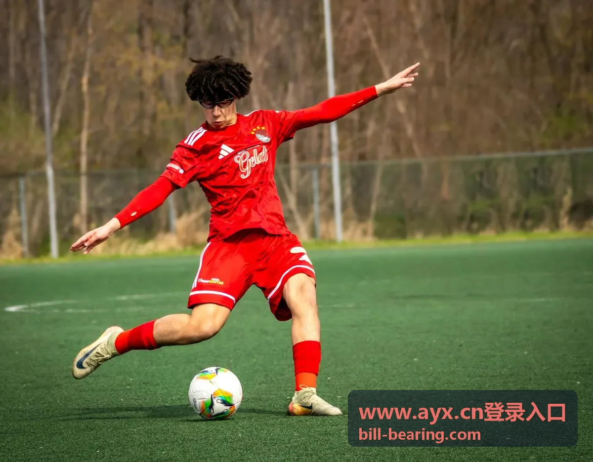 www.ayx.cn登录入口 账号安全校验配图