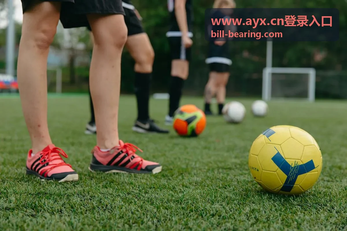 www.ayx.cn登录入口 账号安全校验示意图