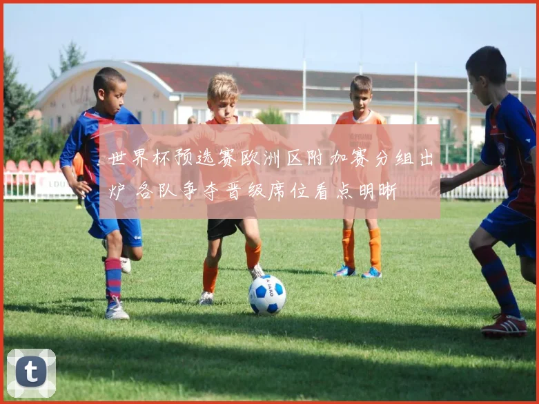 世界杯预选赛欧洲区附加赛分组出炉 各队争夺晋级席位看点明晰