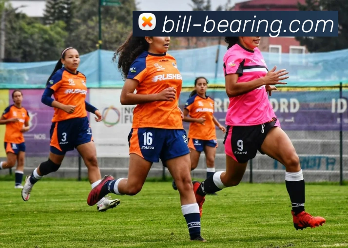 辅助工具 辅助工具